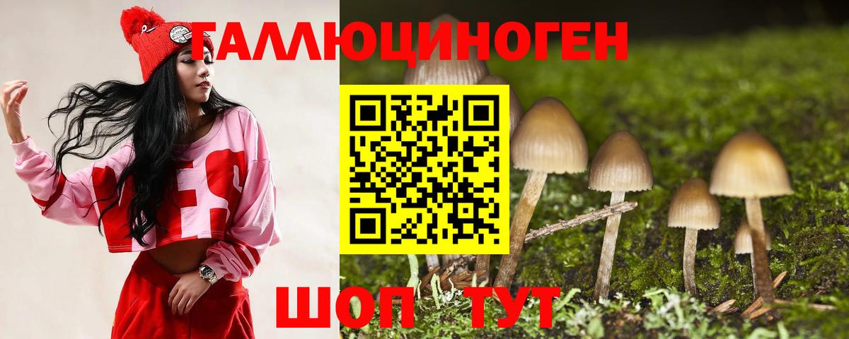 Южноуральск  Галлюциногенные грибы GOLDEN TEACHER  Вход с VPN 